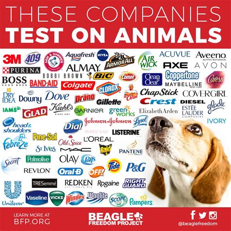 big companies that test on animals